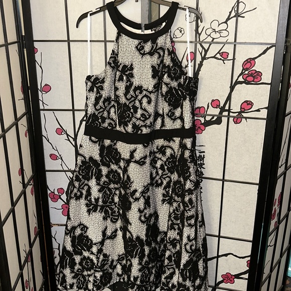 NWT City Chic Pretty Lace dress in black and white - Picture 2 of 13